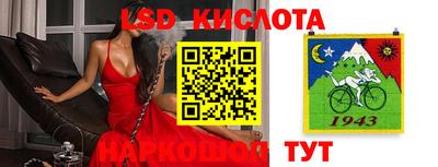 гашик Малоярославец