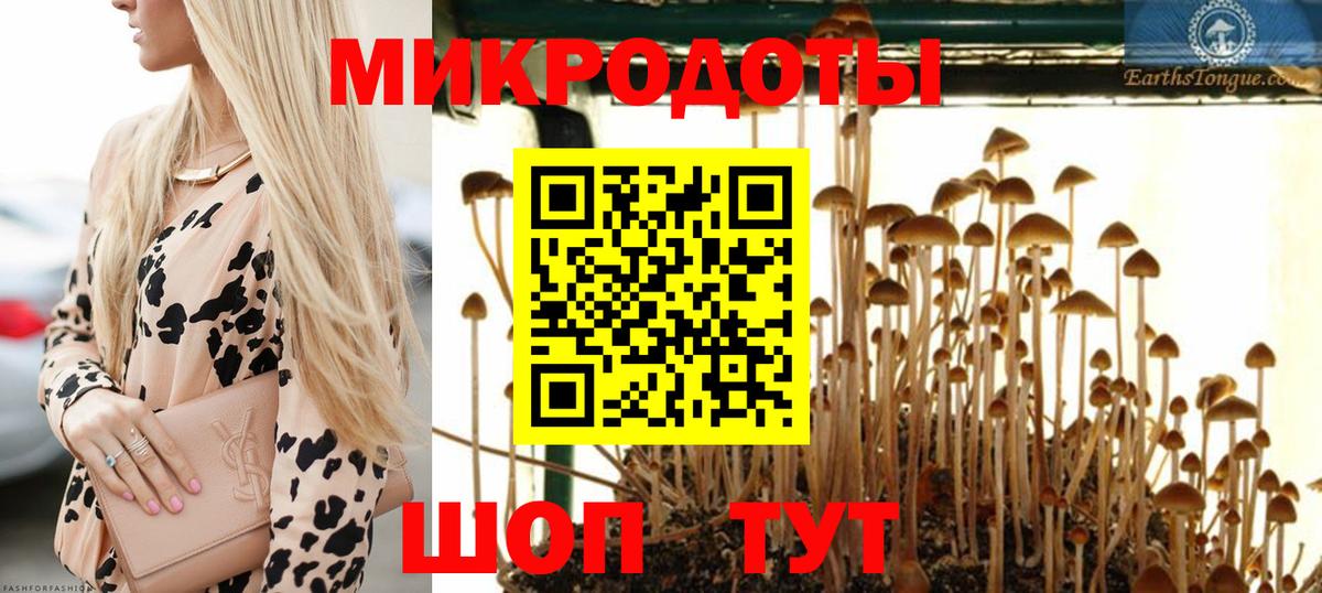 Галлюциногенные грибы прущие грибы Вышний Волочёк