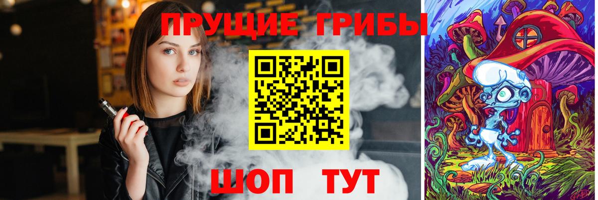 Псилоцибиновые грибы Cubensis  Вход с VPN  Вышний Волочёк  Псилоцибиновые грибы GOLDEN TEACHER 